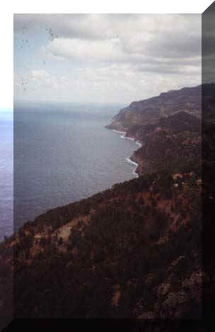 20060818094938-cant04.jpg