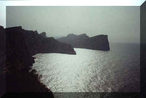 20060818104031-cant01.jpg