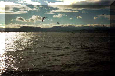 20060818121752-hayplaya3.jpg