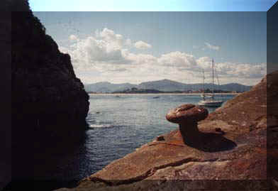 20060818122806-flis1.jpg