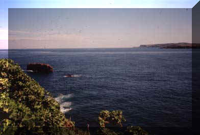 20060819011458-hayplaya2.jpg