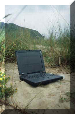 20060819020355-hayplaya5.jpg